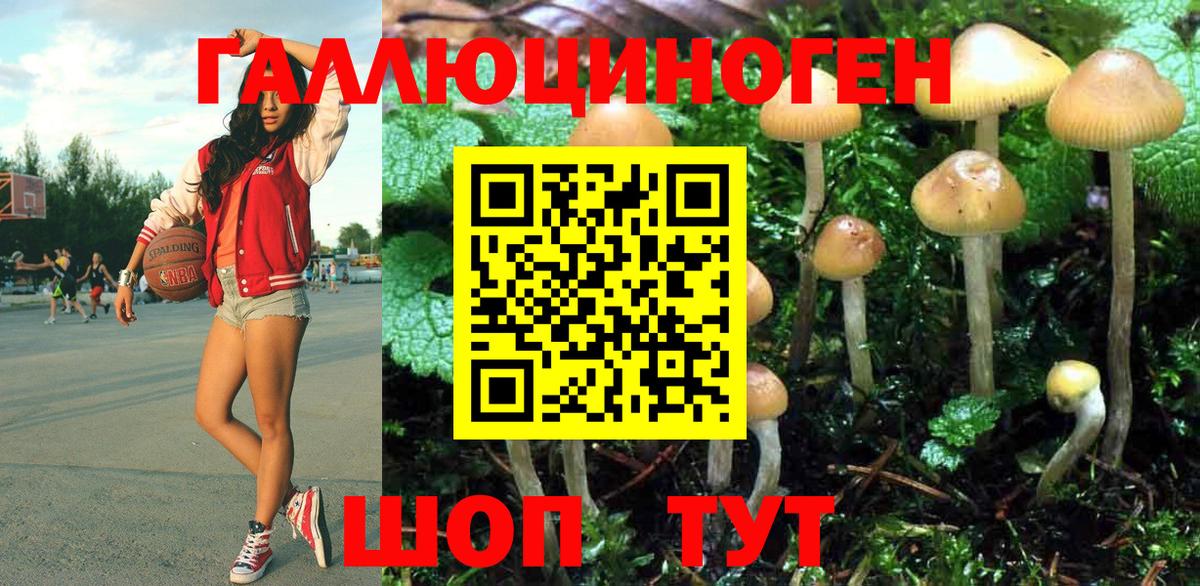 Галлюциногенные грибы GOLDEN TEACHER Лысьва