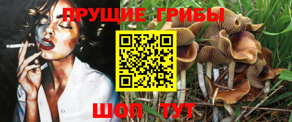 Псилоцибиновые грибы MAGIC MUSHROOMS  Псилоцибиновые грибы Psilocybine cubensis  Лысьва  Вход с VPN 